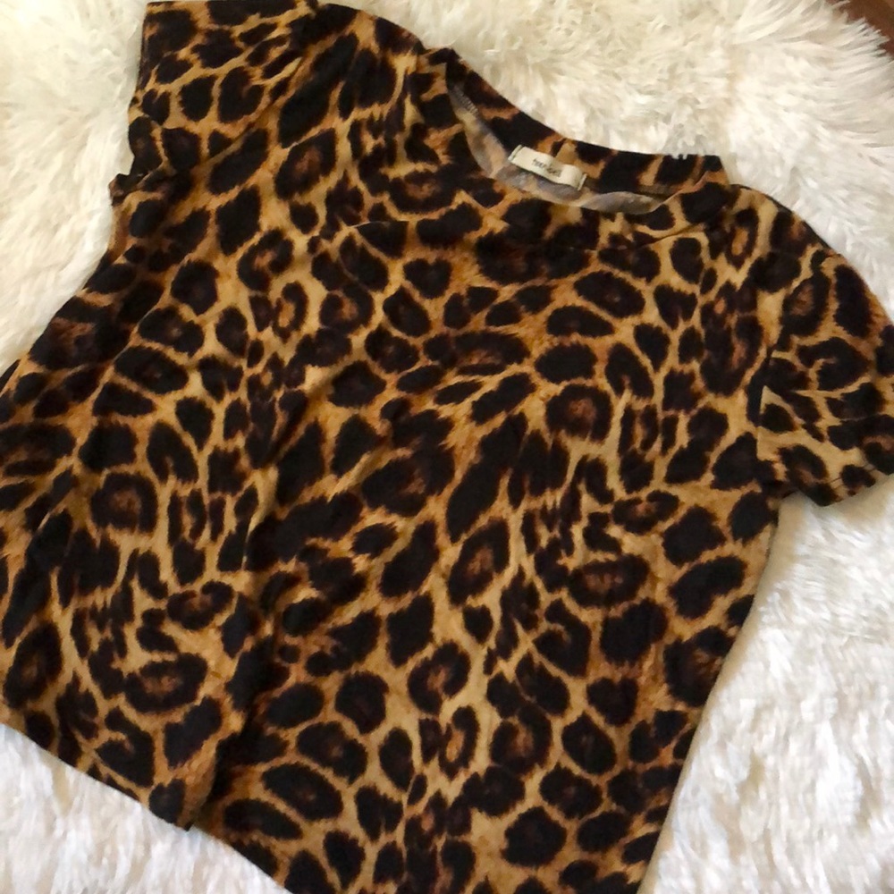Cheetah Print Crop Top